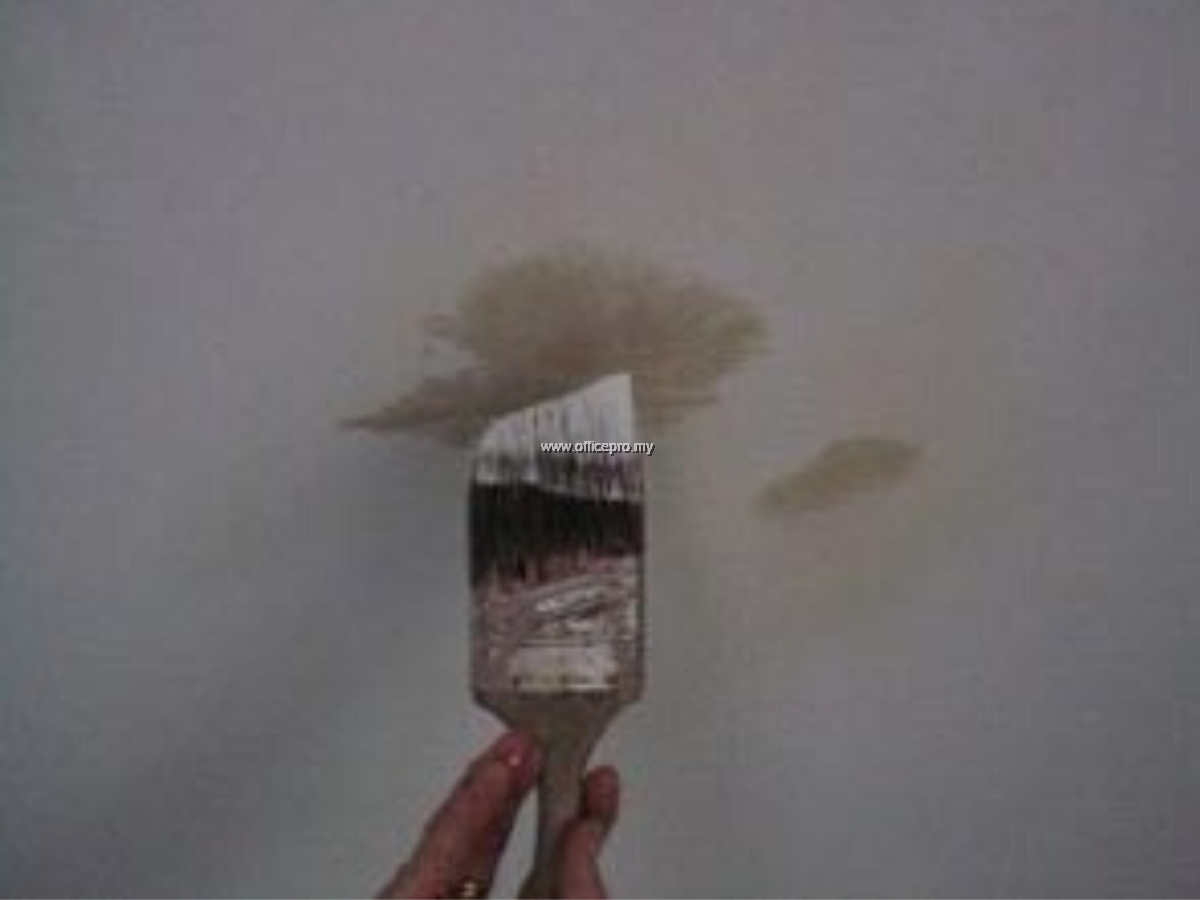 To Touch Up Painting Work Office Renovation OfficePro