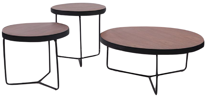Coffee Table & Side Table